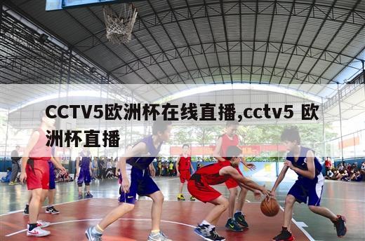 CCTV5欧洲杯在线直播,cctv5 欧洲杯直播