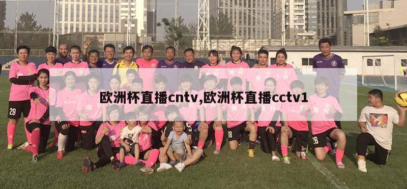 欧洲杯直播cntv,欧洲杯直播cctv1