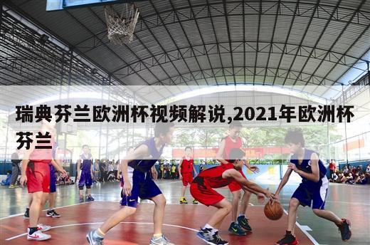 瑞典芬兰欧洲杯视频解说,2021年欧洲杯芬兰